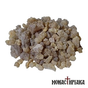 monastiriaka-livani-fysiko