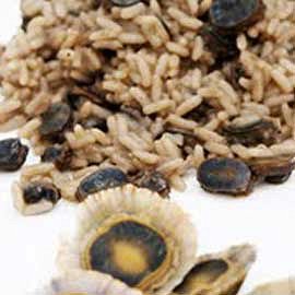 Rice with Limpets