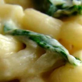 Cup up Spaghetti with Spinach