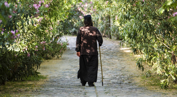 Walking Sticks