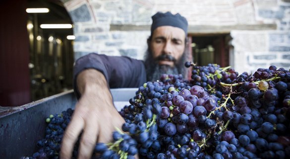 Mount Athos Monastery Wines