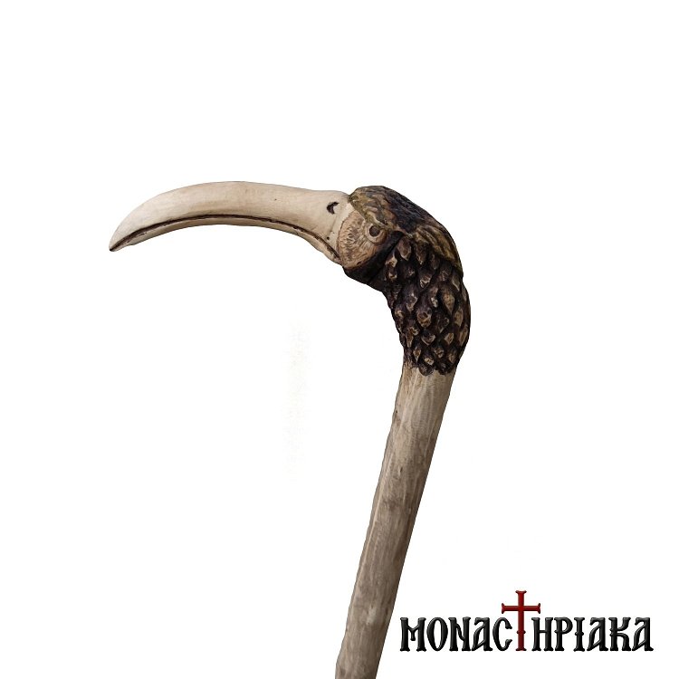 Walking Stick with Crow Grip