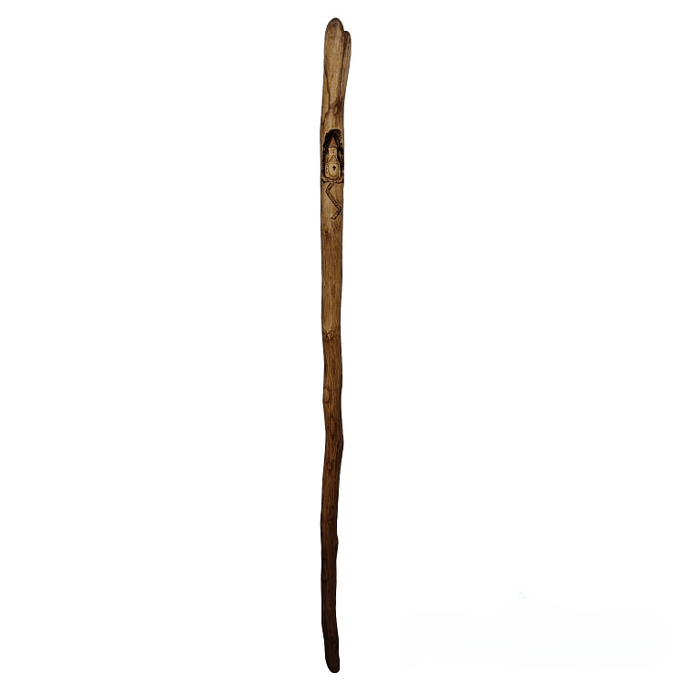 Walking Stick with Carved Decoration