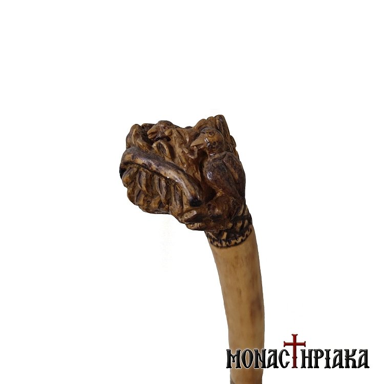 Walking Stick with Carved Bird Nest