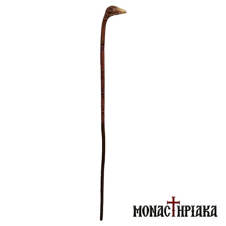 Walking Stick with Grip