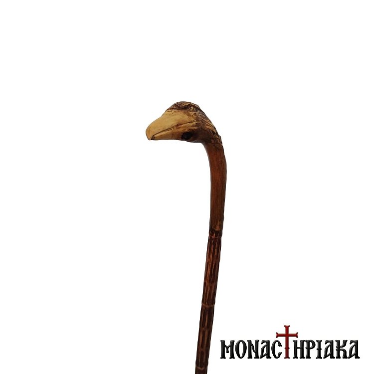 Walking Stick with Grip