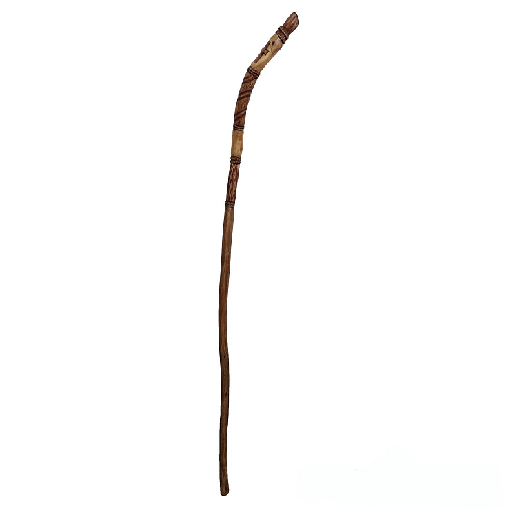 Walking Stick with Cross