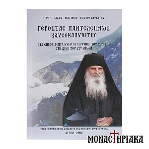 Γέροντας Παντελεήμων Καυσοκαλυβίτης - Στα Επαφρίζοντα Κύματα Αισχύνης του 20ου και στη Δίνη του 21ου Αιώνα