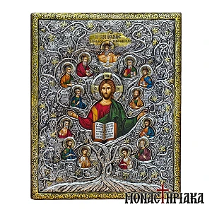 The Vine of Jesus Christ