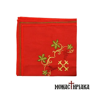 Maktro with Embroidered Design the Vine