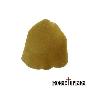 Natural Sponge - Mousa