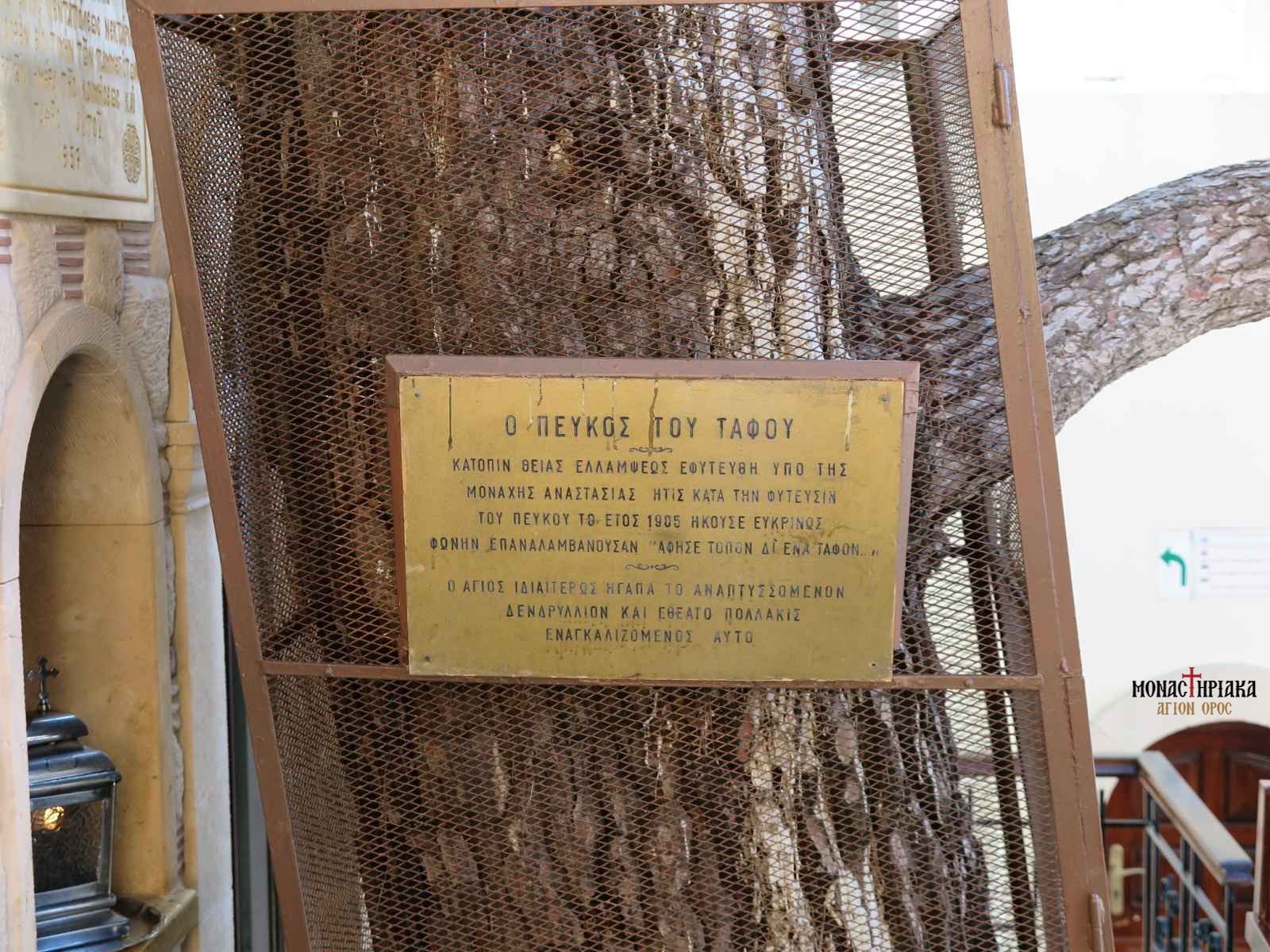 The sign on a tree for Saint Nektarios
