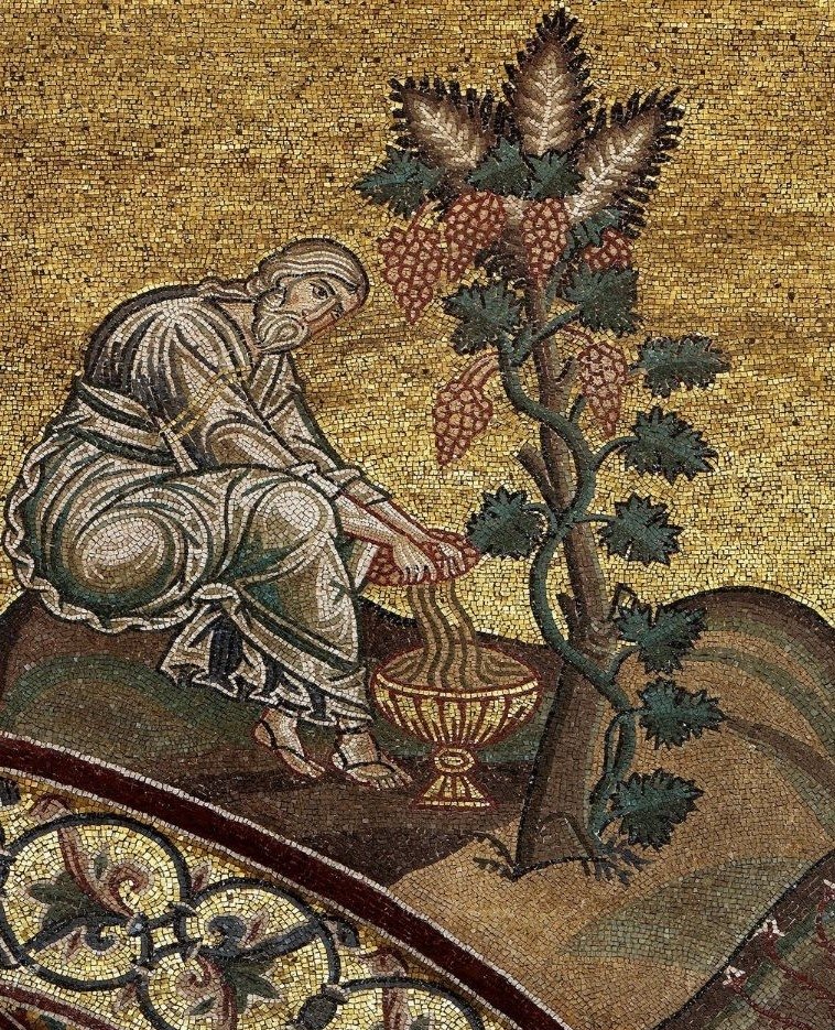 Noah cultivating vineyard after the flood