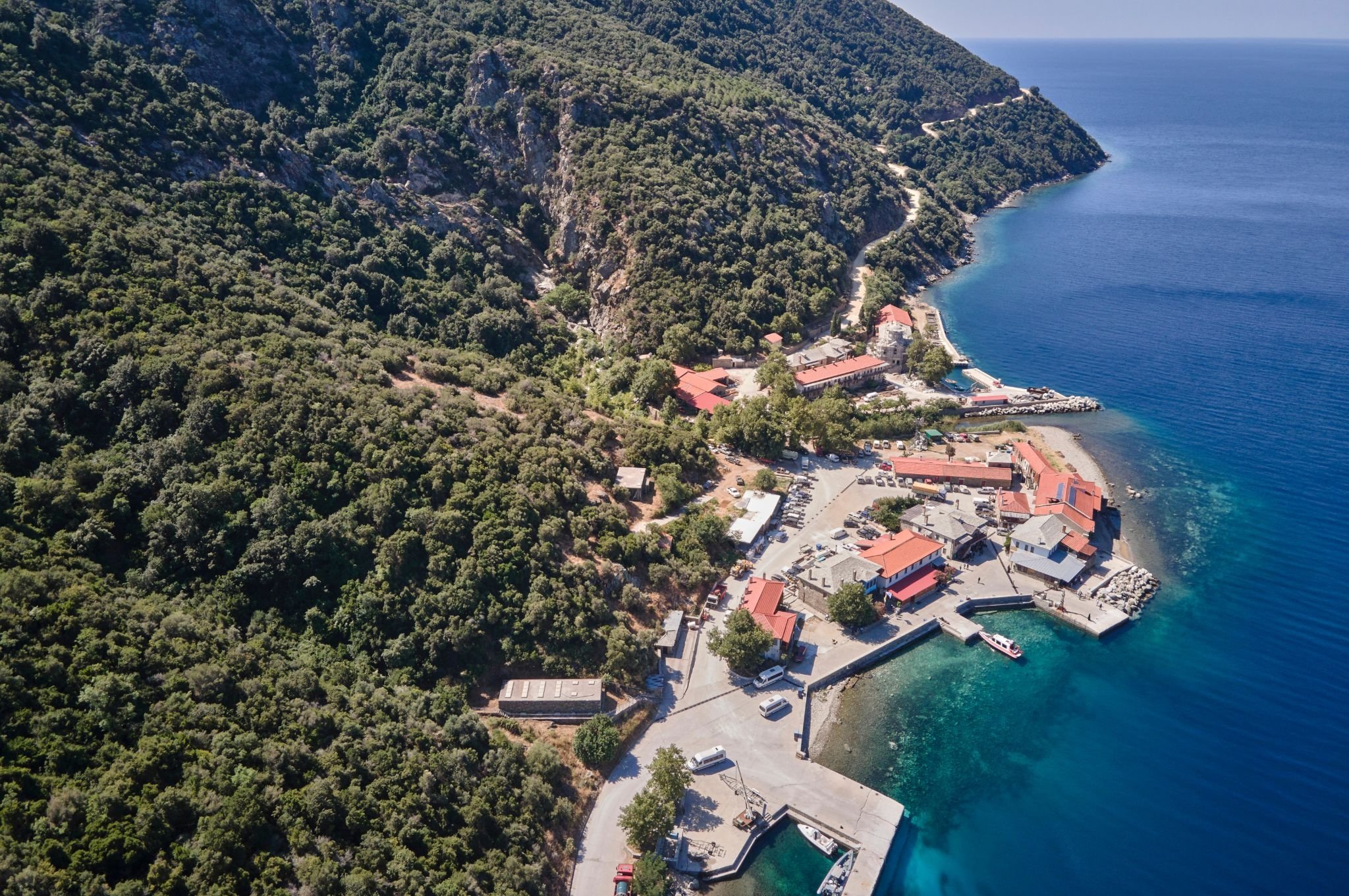 Δάφνη Αγίου Όρους