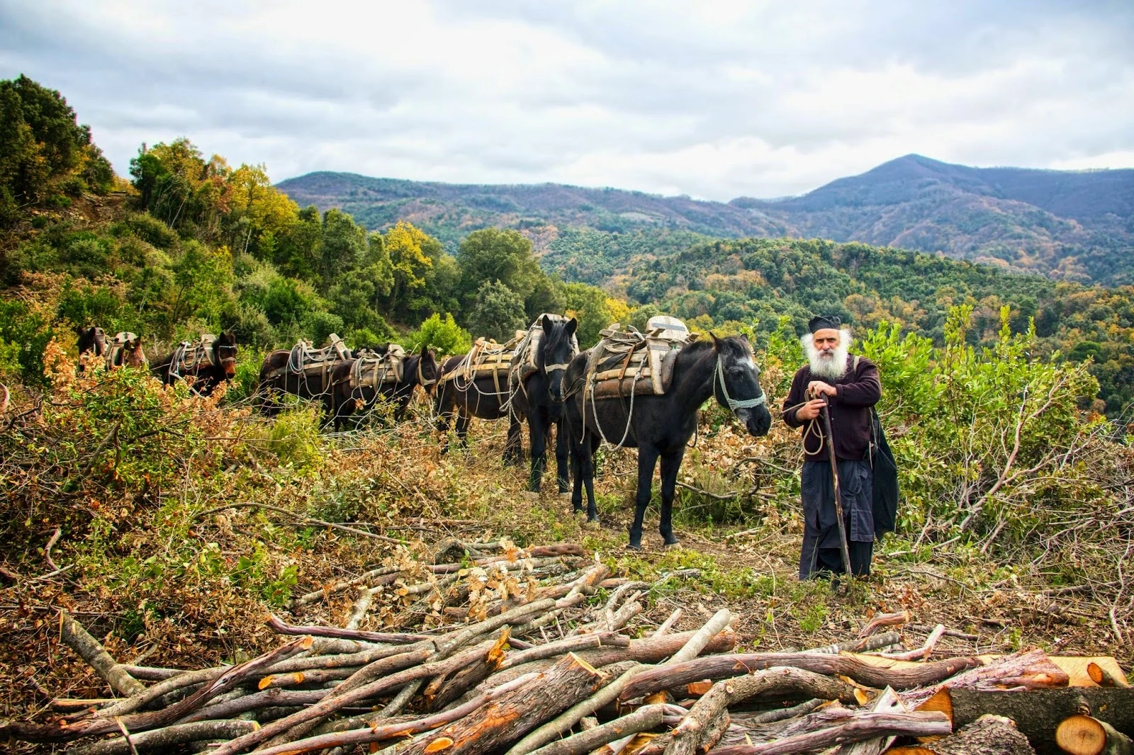 monk-with-donkeys-on-mount-athos