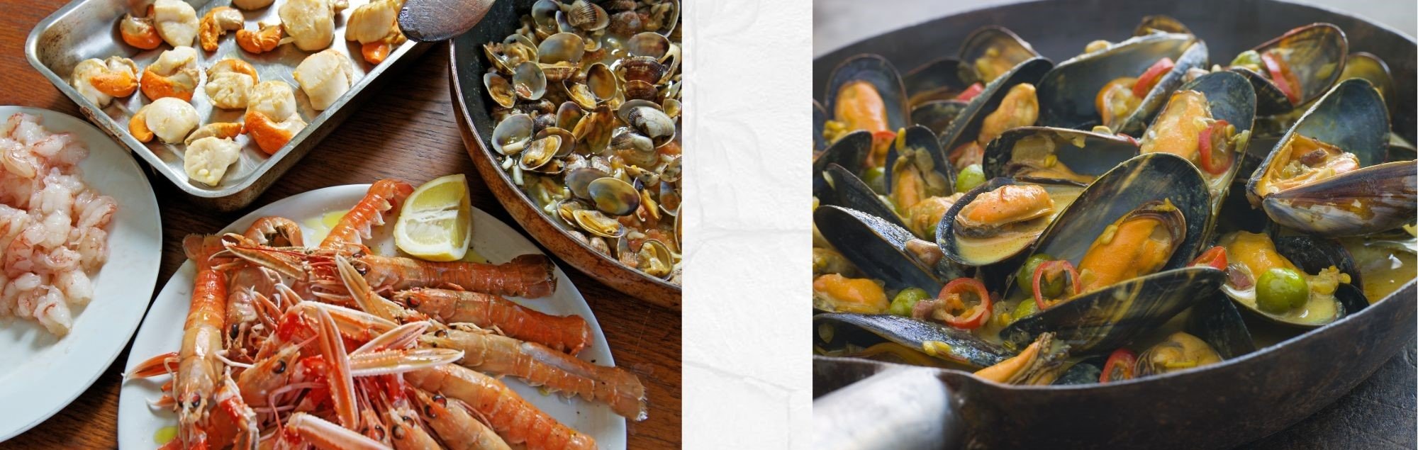 μαλάκια και οστρακοειδή - shellfish - mollusk