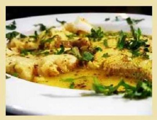 Γαλέος Σαγανάκι