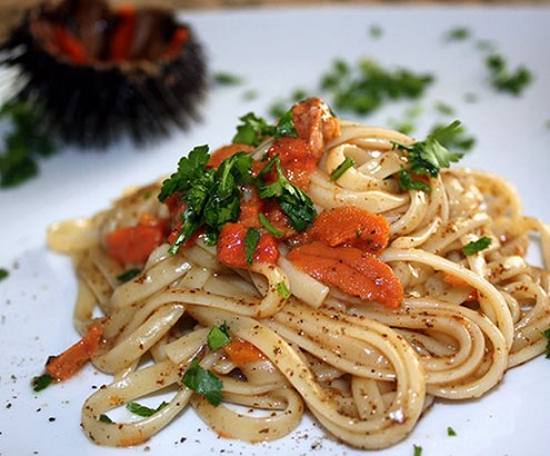Spaghetti with Sea Urchin Sauce