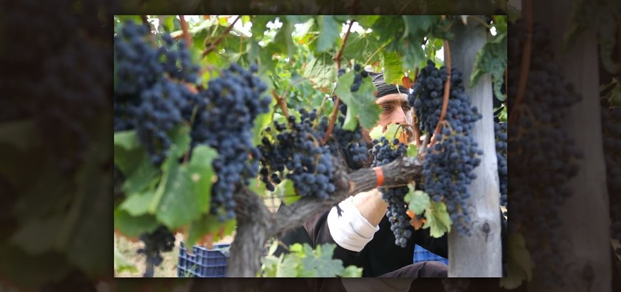 Wines of Mount Athos: the Secret behind Monastery Wine...since the 10th century!
