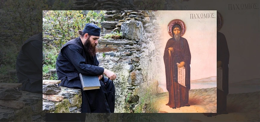 agios-paxomios-komposkoinia