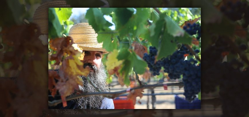 Wines of Mount Athos: the Secret behind Monastery Wine...since the 10th century!