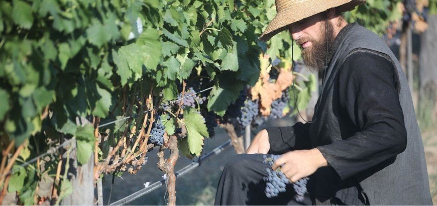 Wines of Mount Athos: the Secret behind Monastery Wine...since the 10th century!