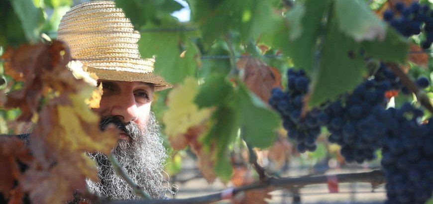 Wines of Mount Athos: the Secret behind Monastery Wine...since the 10th century!