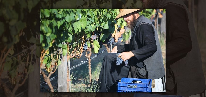 Wines of Mount Athos: the Secret behind Monastery Wine...since the 10th century!