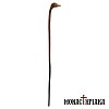 Walking Stick with Grip